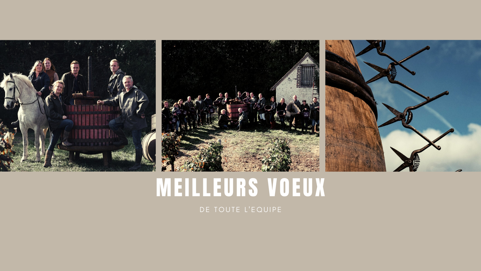 MEILLEURS VOEUX