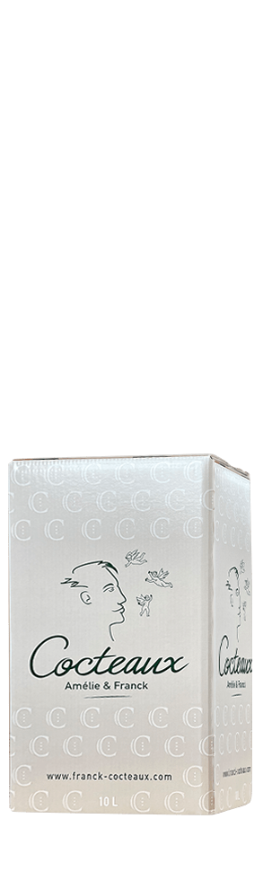 FONTAINE A VINS BLANC DE 10 LITRES